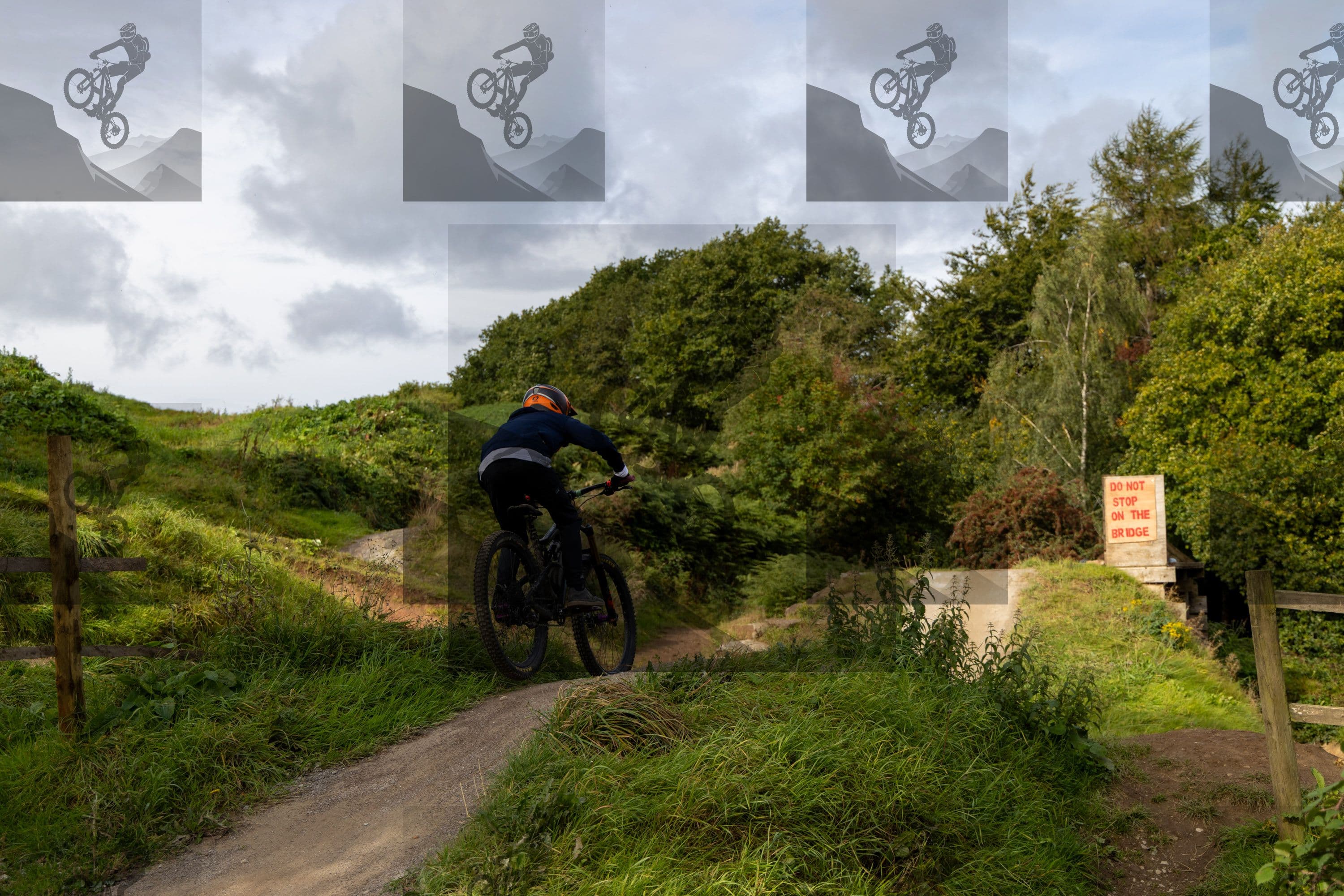 mountain bike photo at Farmer Johns