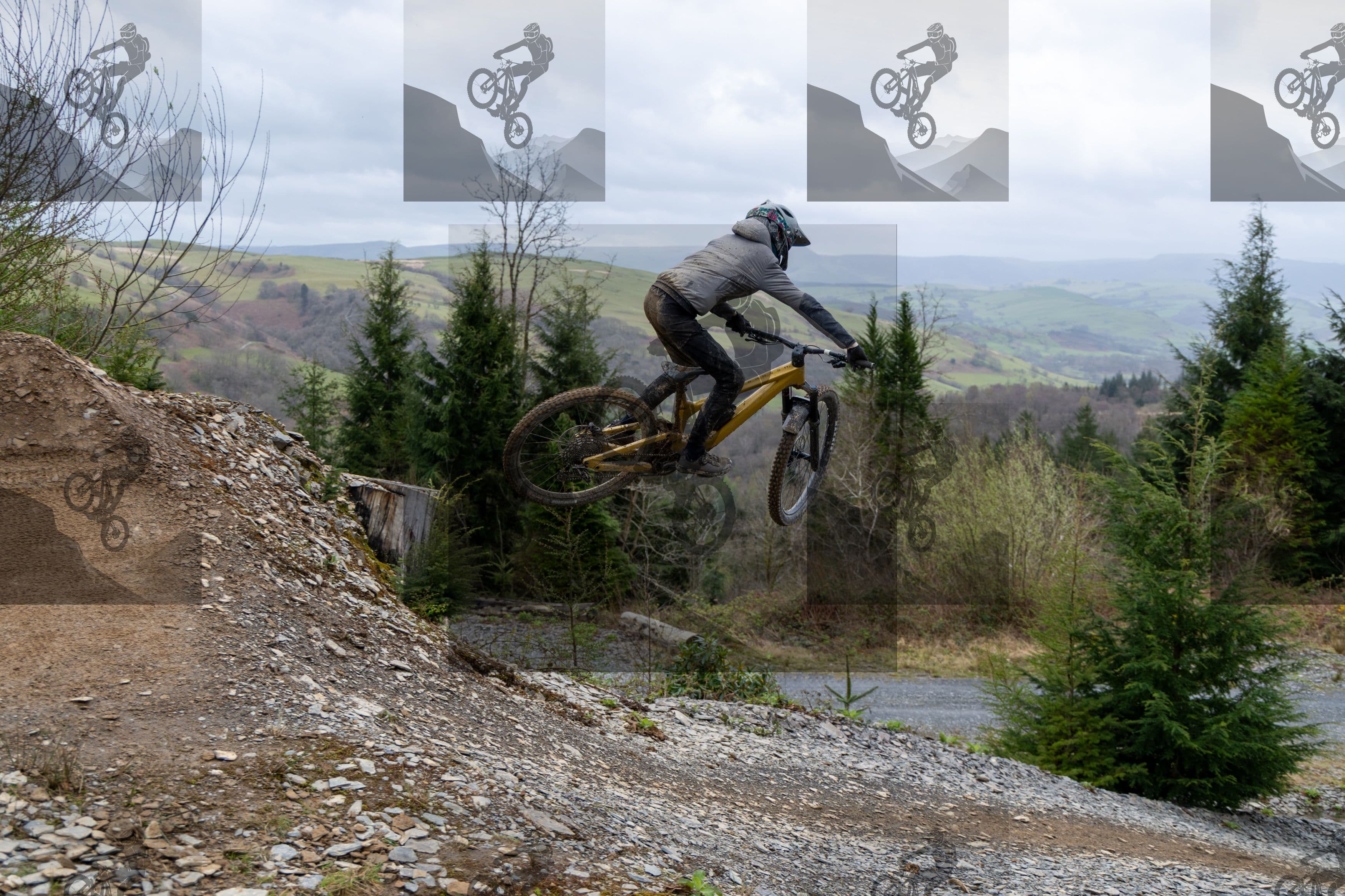 mountain bike photo at Dyfi Bike Park
