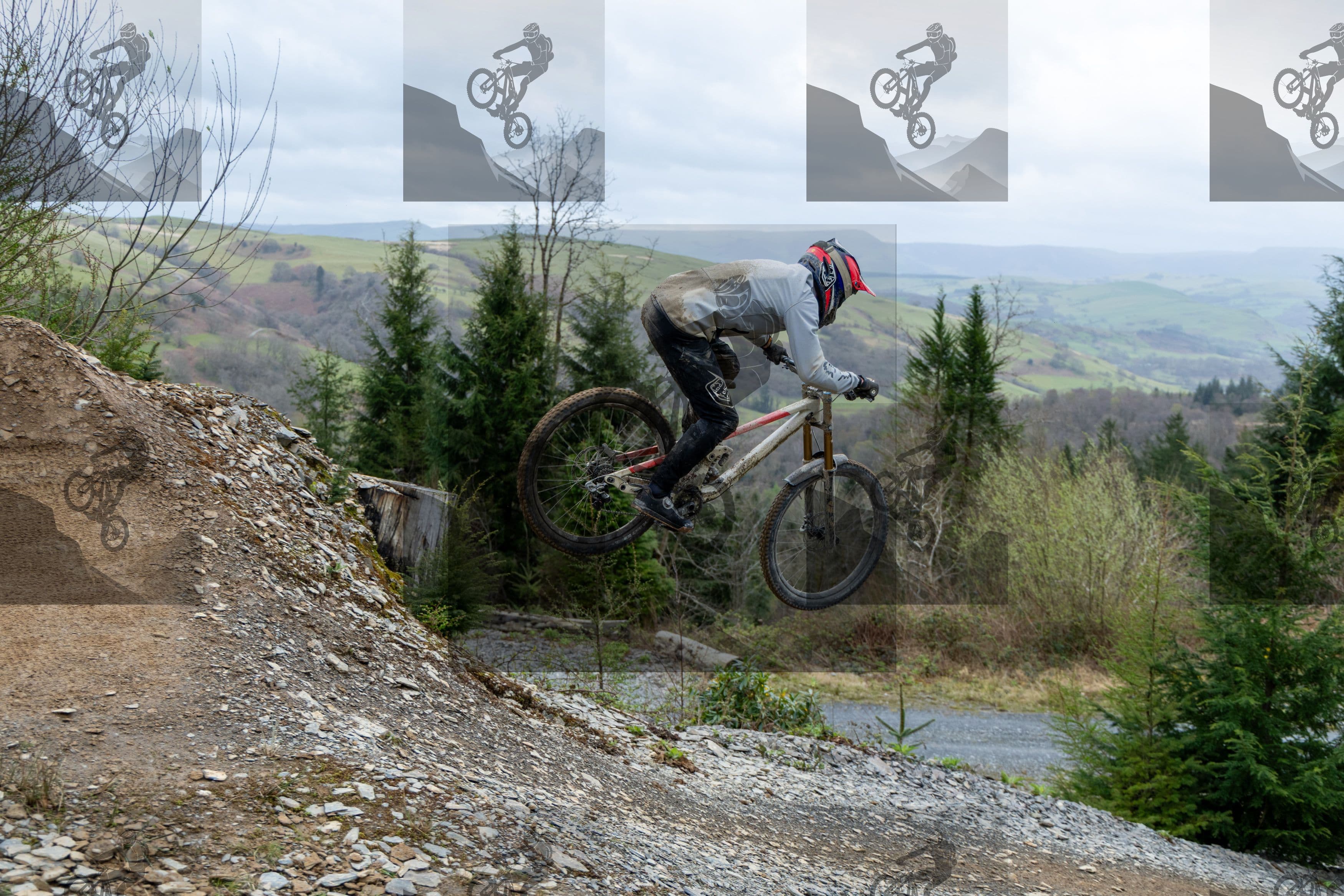 mountain bike photo at Dyfi Bike Park