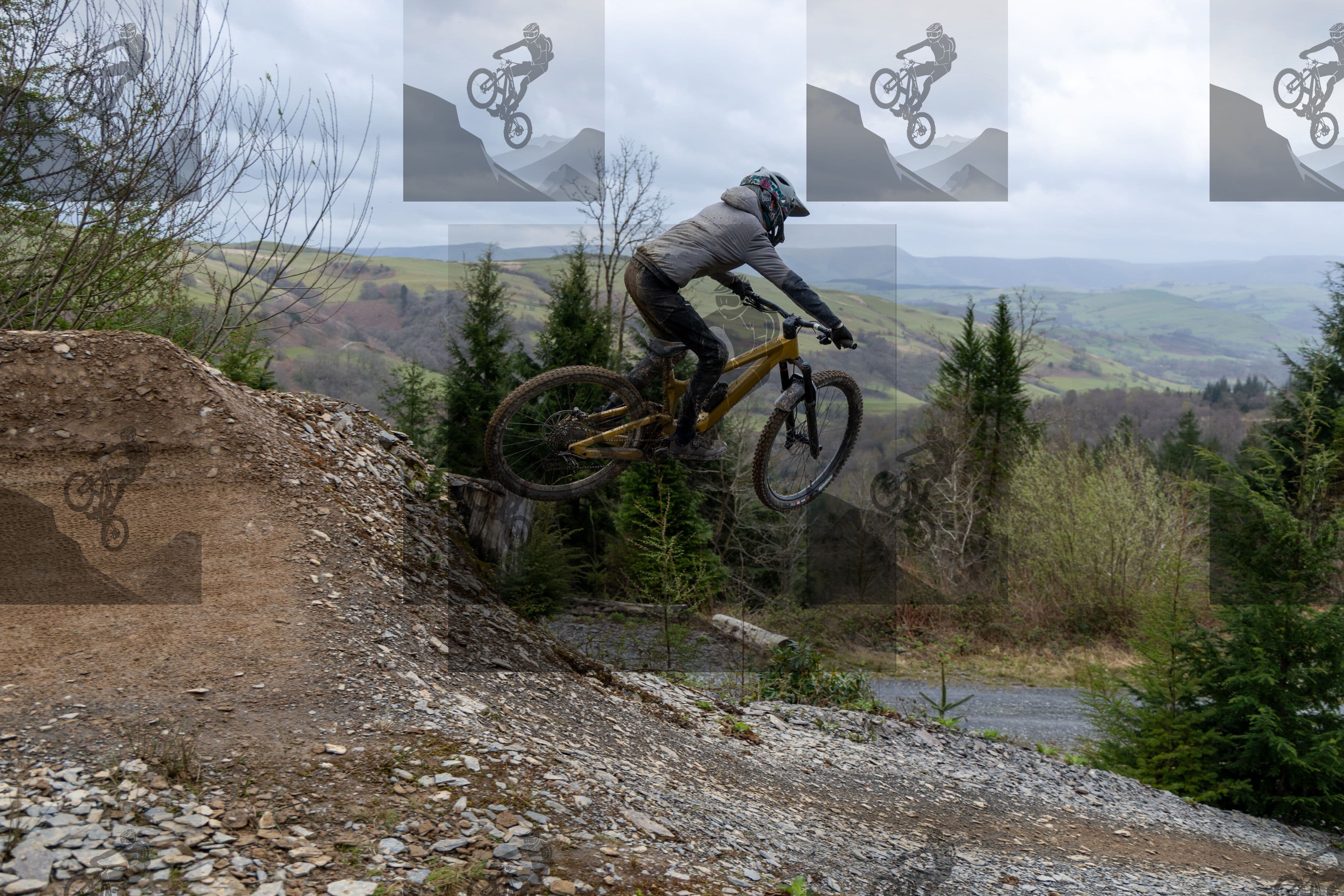 mountain bike photo at Dyfi Bike Park
