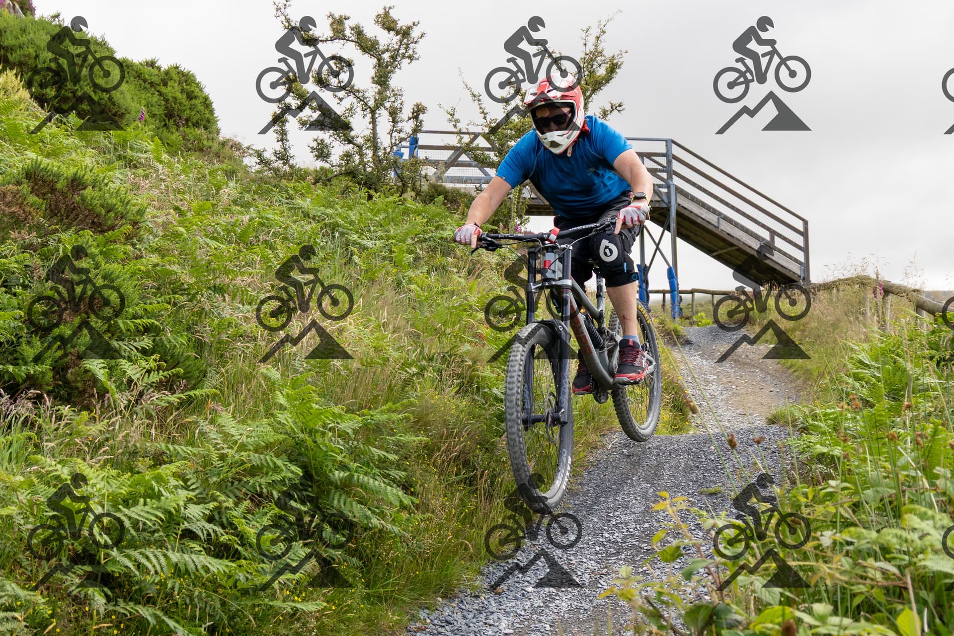 mountain bike photo at Antur Stiniog