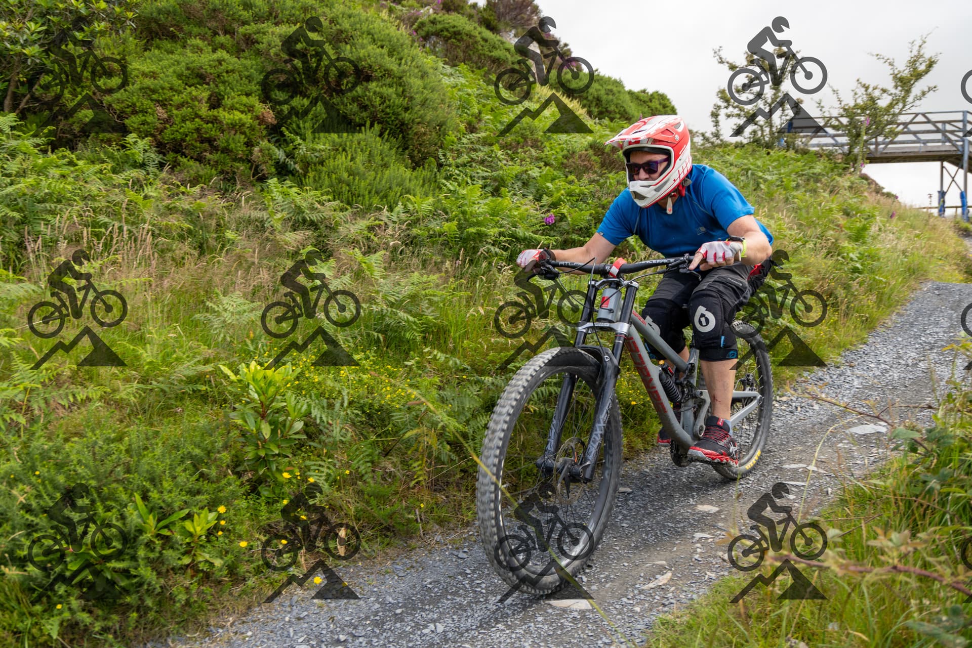 mountain bike photo at Antur Stiniog