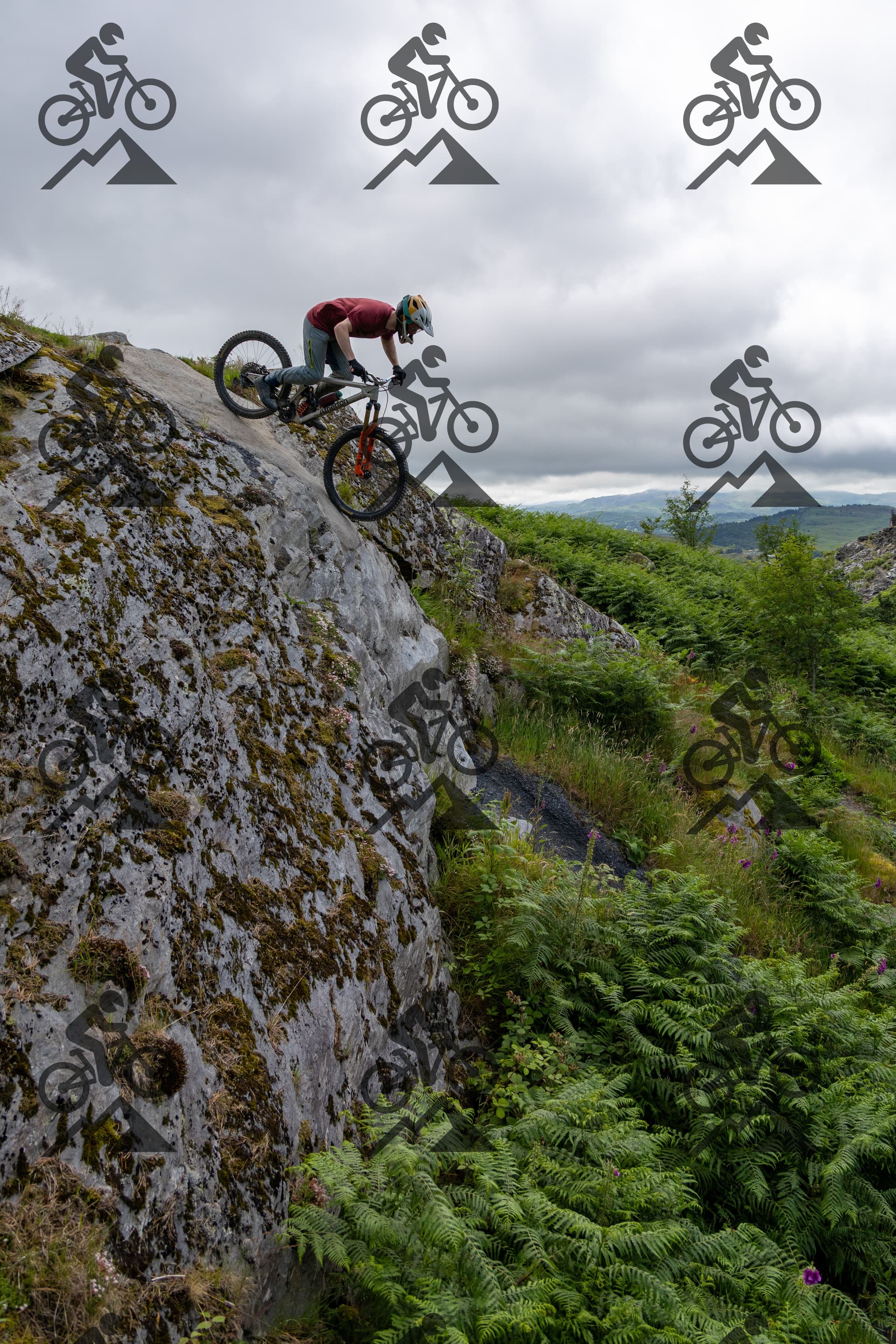 mountain bike photo at Antur Stiniog