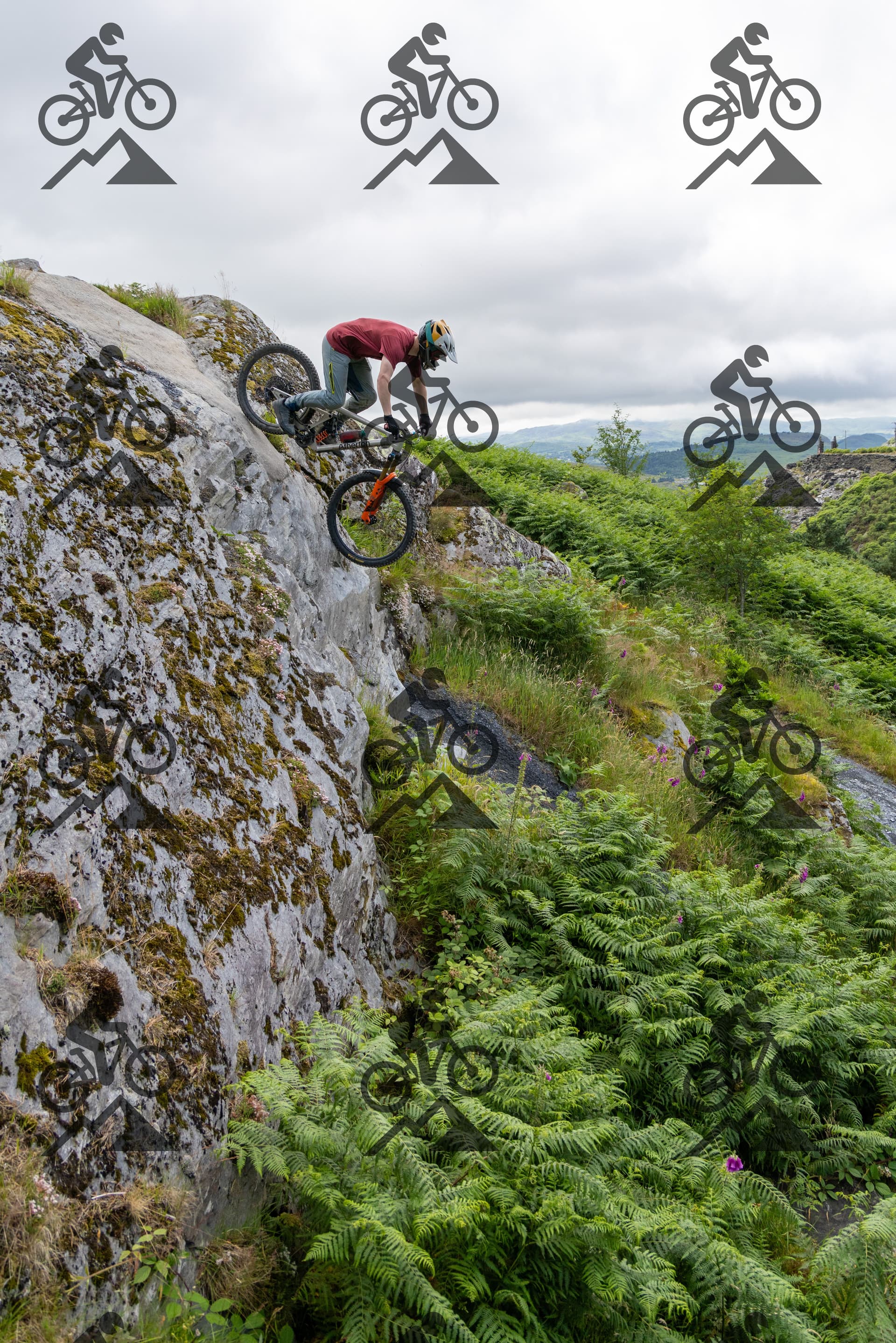 mountain bike photo at Antur Stiniog