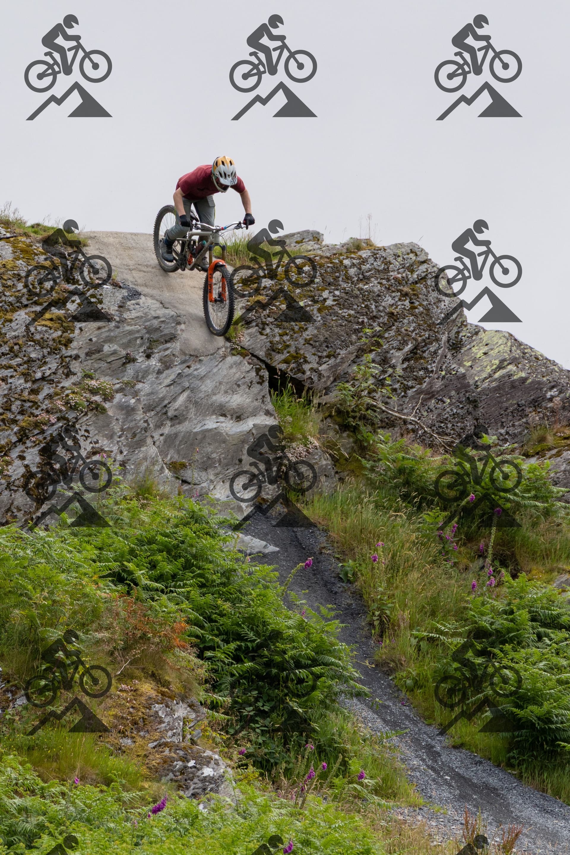 mountain bike photo at Antur Stiniog