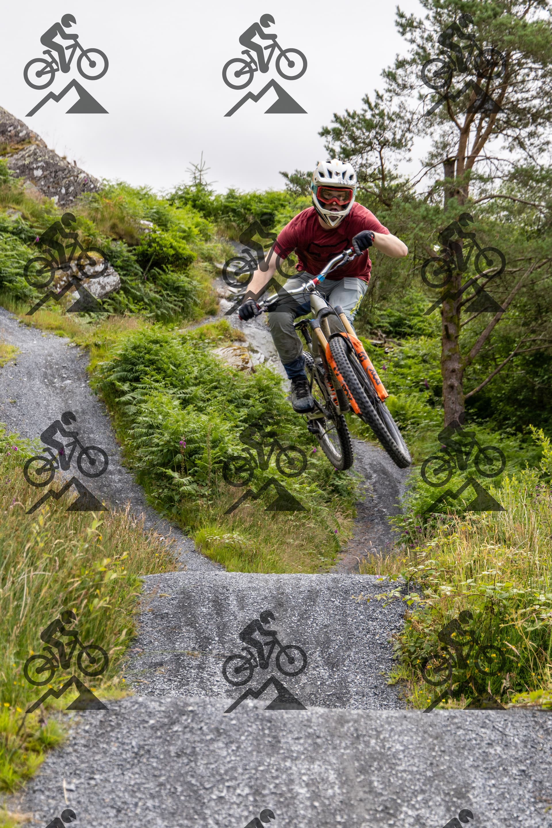 mountain bike photo at Antur Stiniog