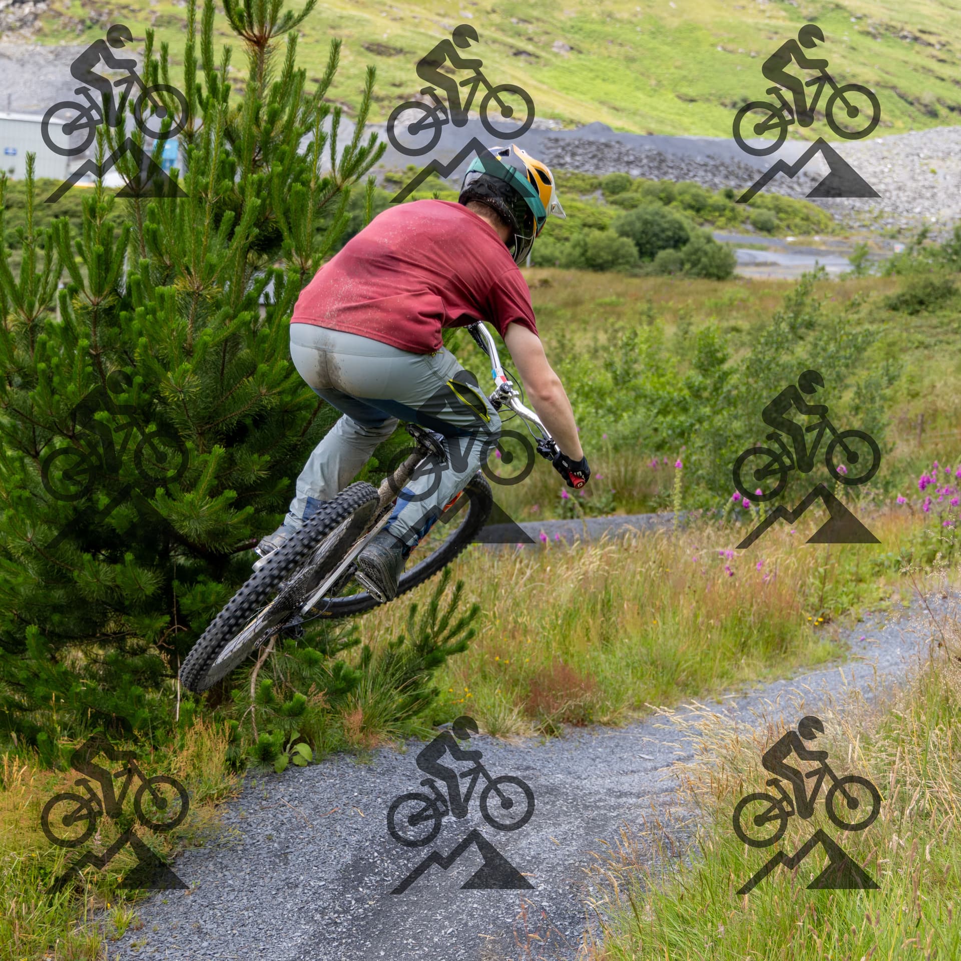 mountain bike photo at Antur Stiniog