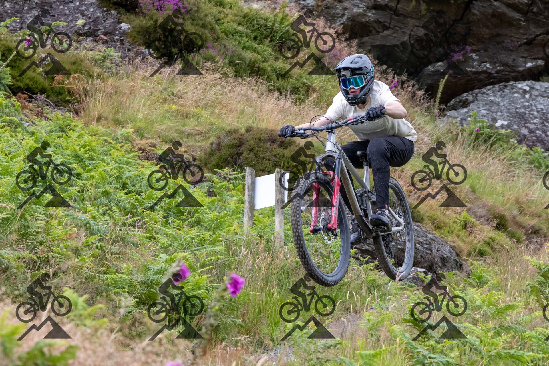 mountain bike photo at Antur Stiniog