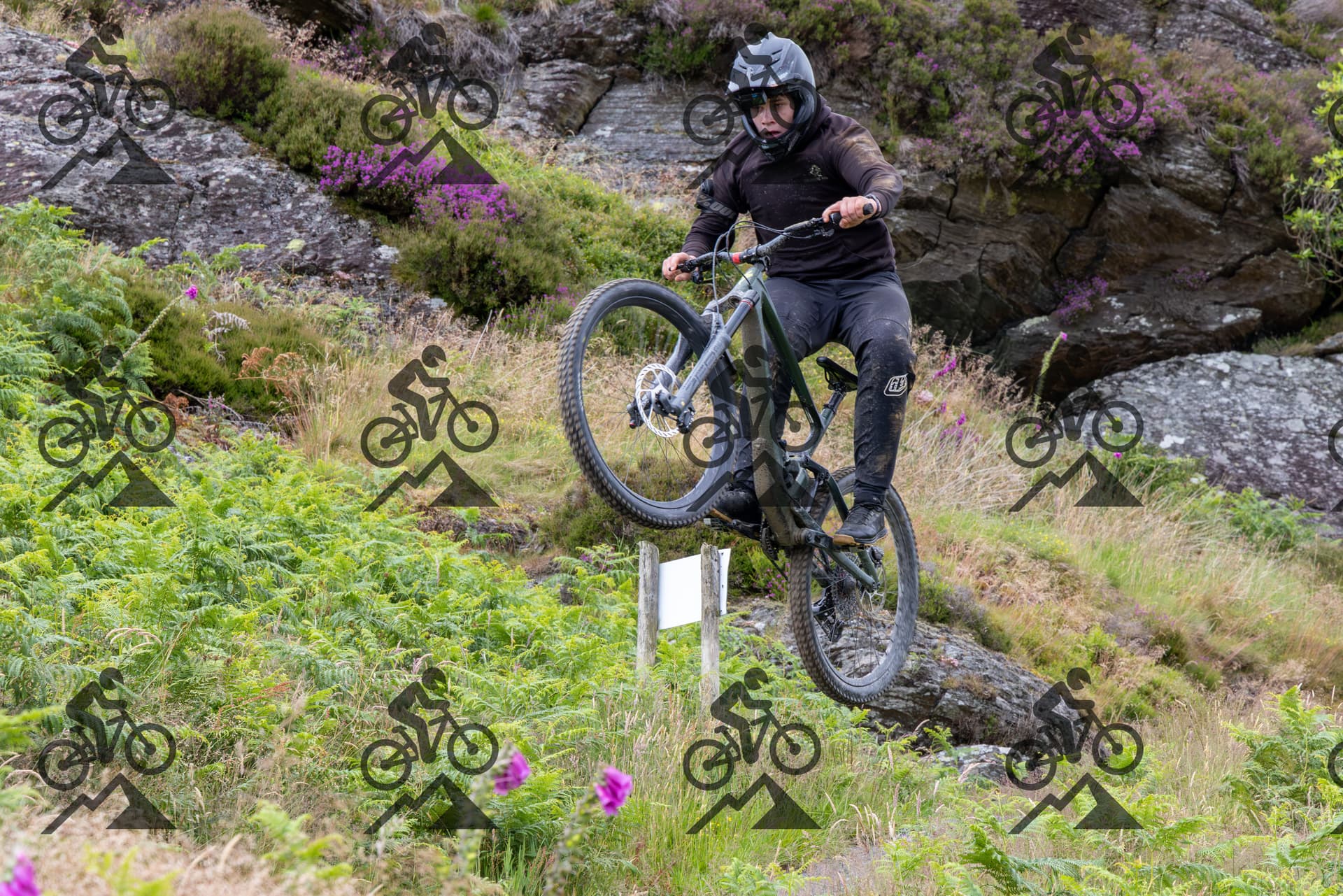 mountain bike photo at Antur Stiniog