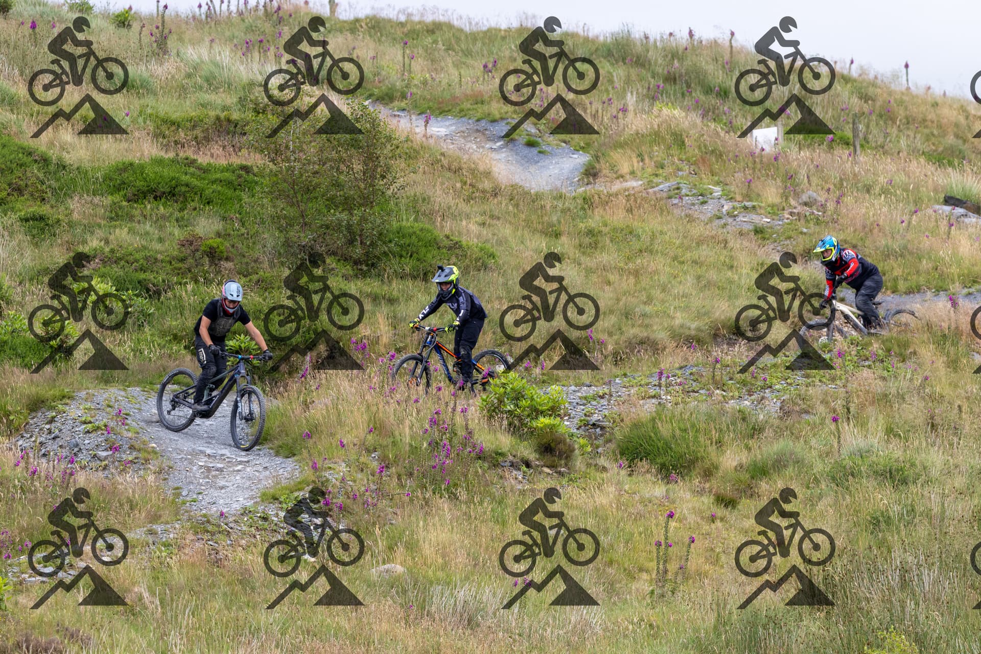 mountain bike photo at Antur Stiniog