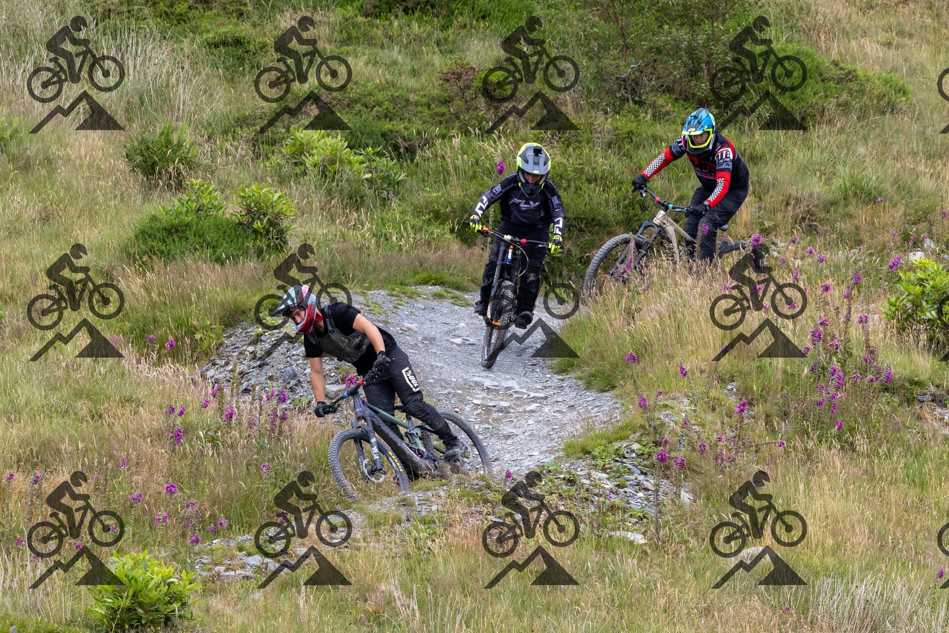 mountain bike photo at Antur Stiniog