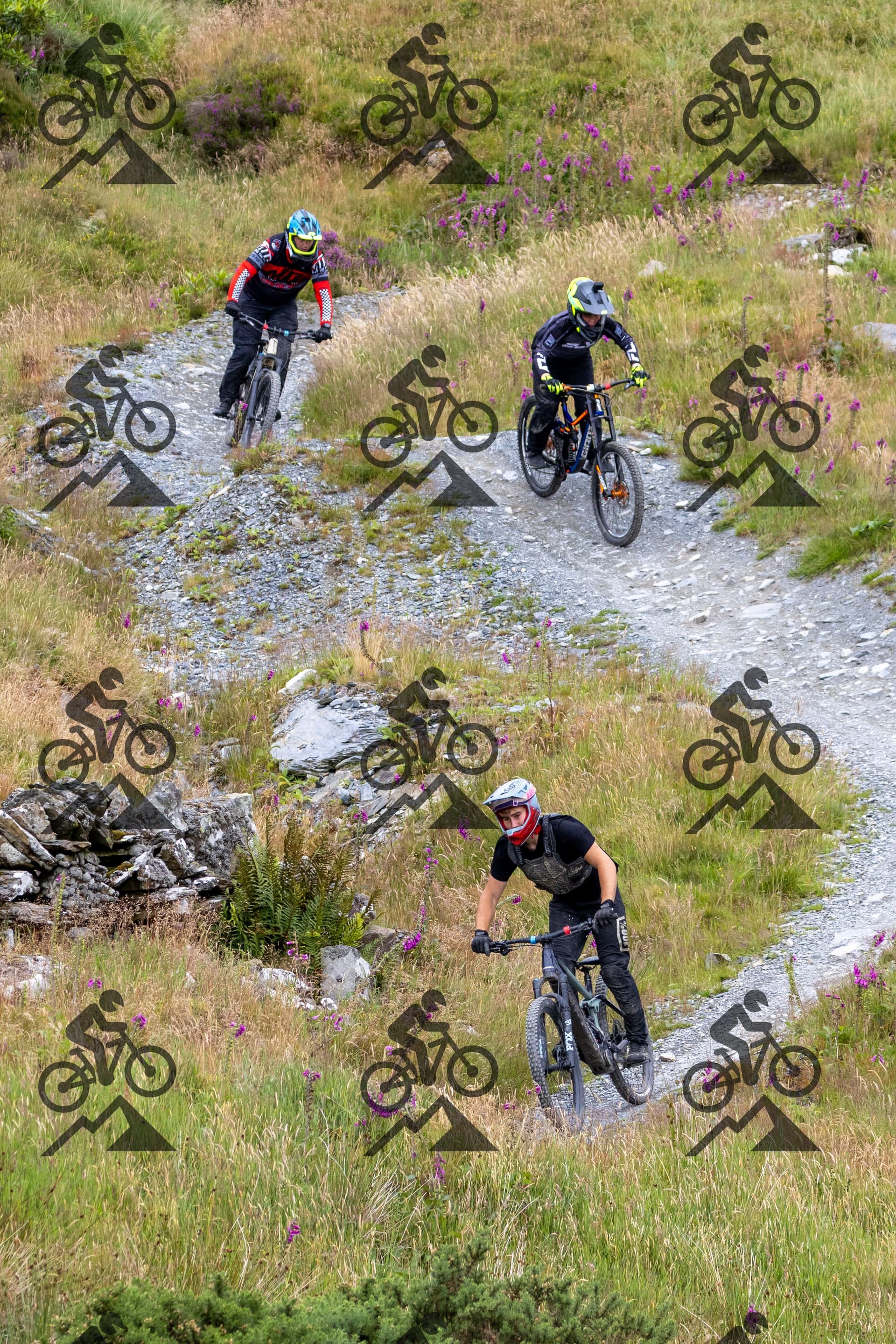 mountain bike photo at Antur Stiniog