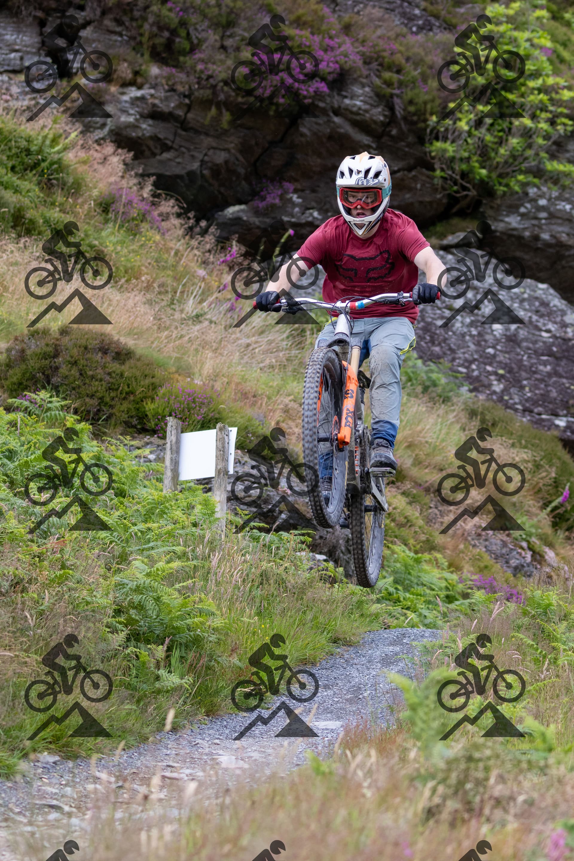 mountain bike photo at Antur Stiniog