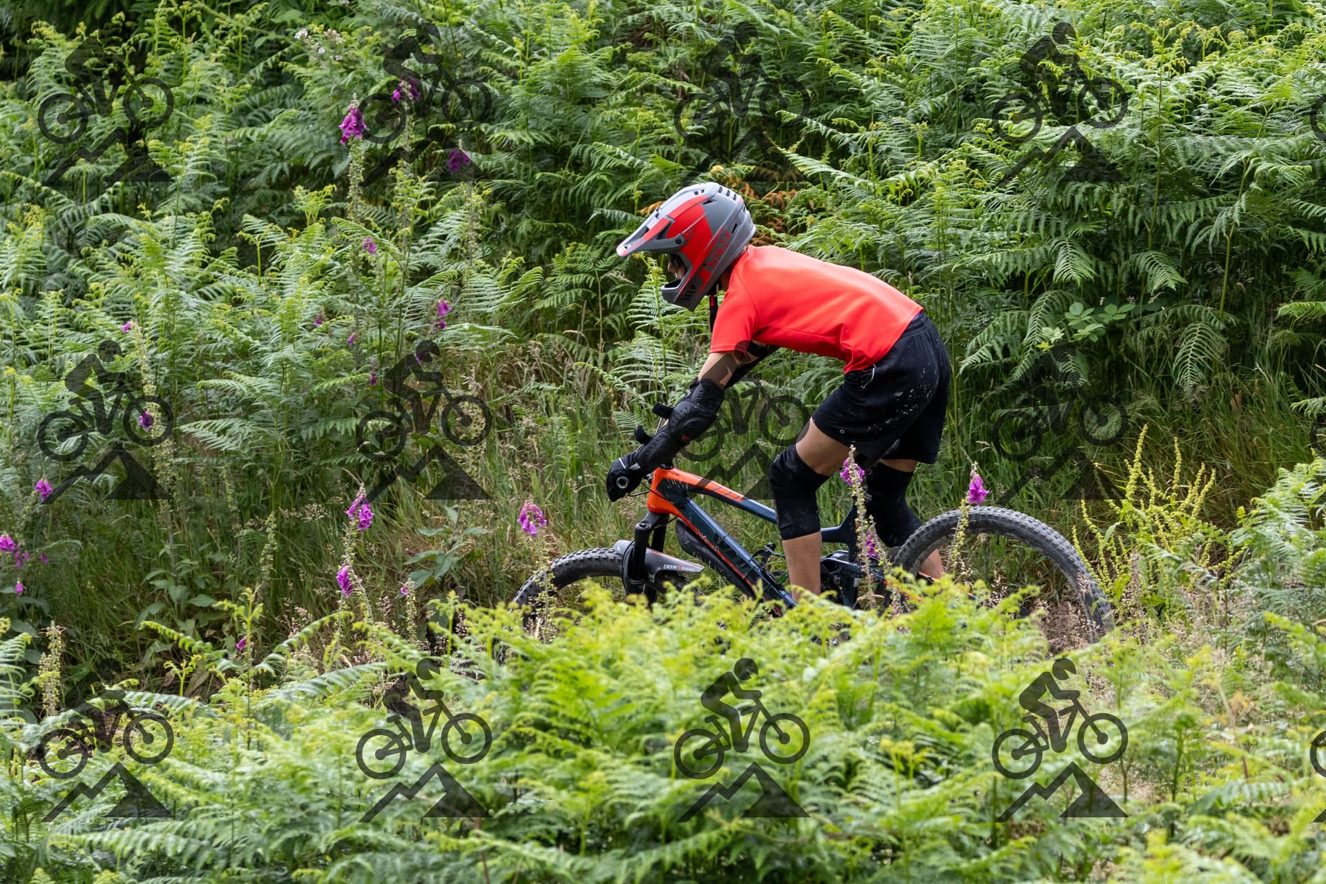 mountain bike photo at Antur Stiniog