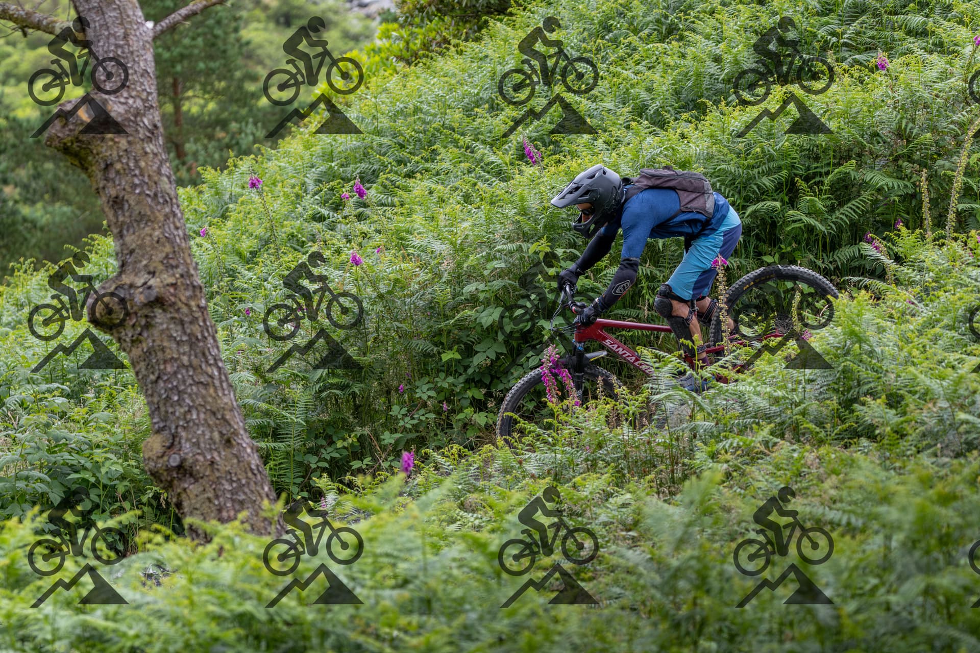 mountain bike photo at Antur Stiniog