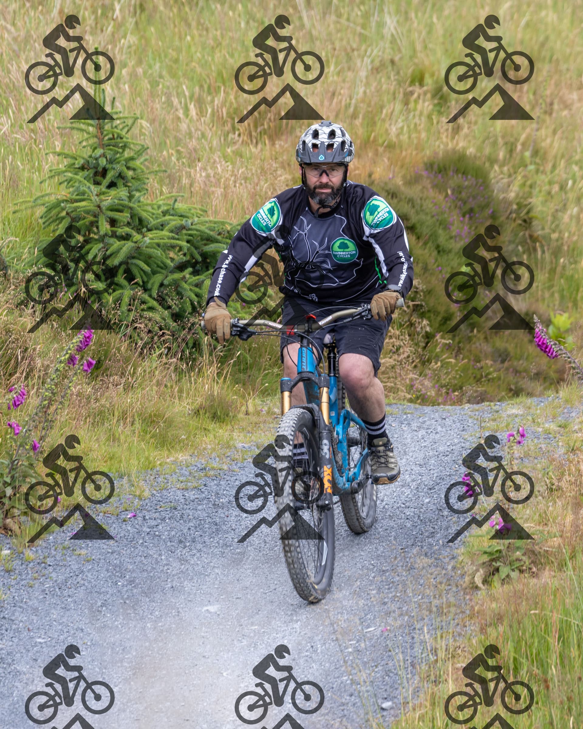 mountain bike photo at Antur Stiniog